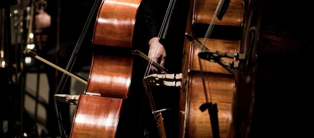 Concert in Kitakami (Iwate). Venue: Sakura Hall